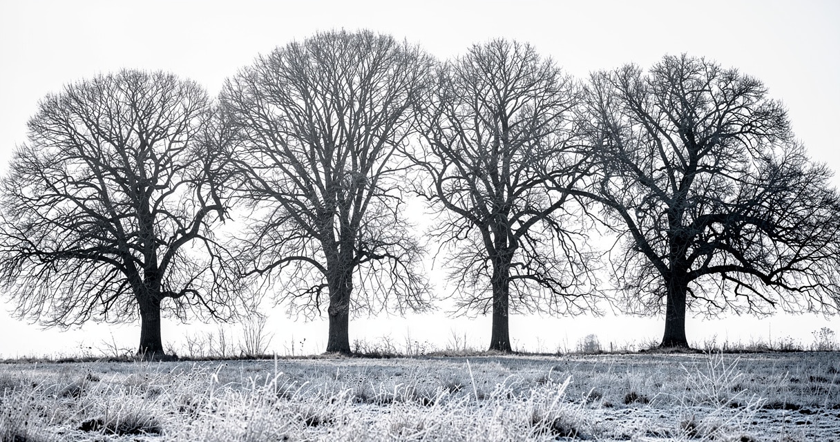 anticipatory grief — two hands gently clasped showing connection and the weight of anticipation