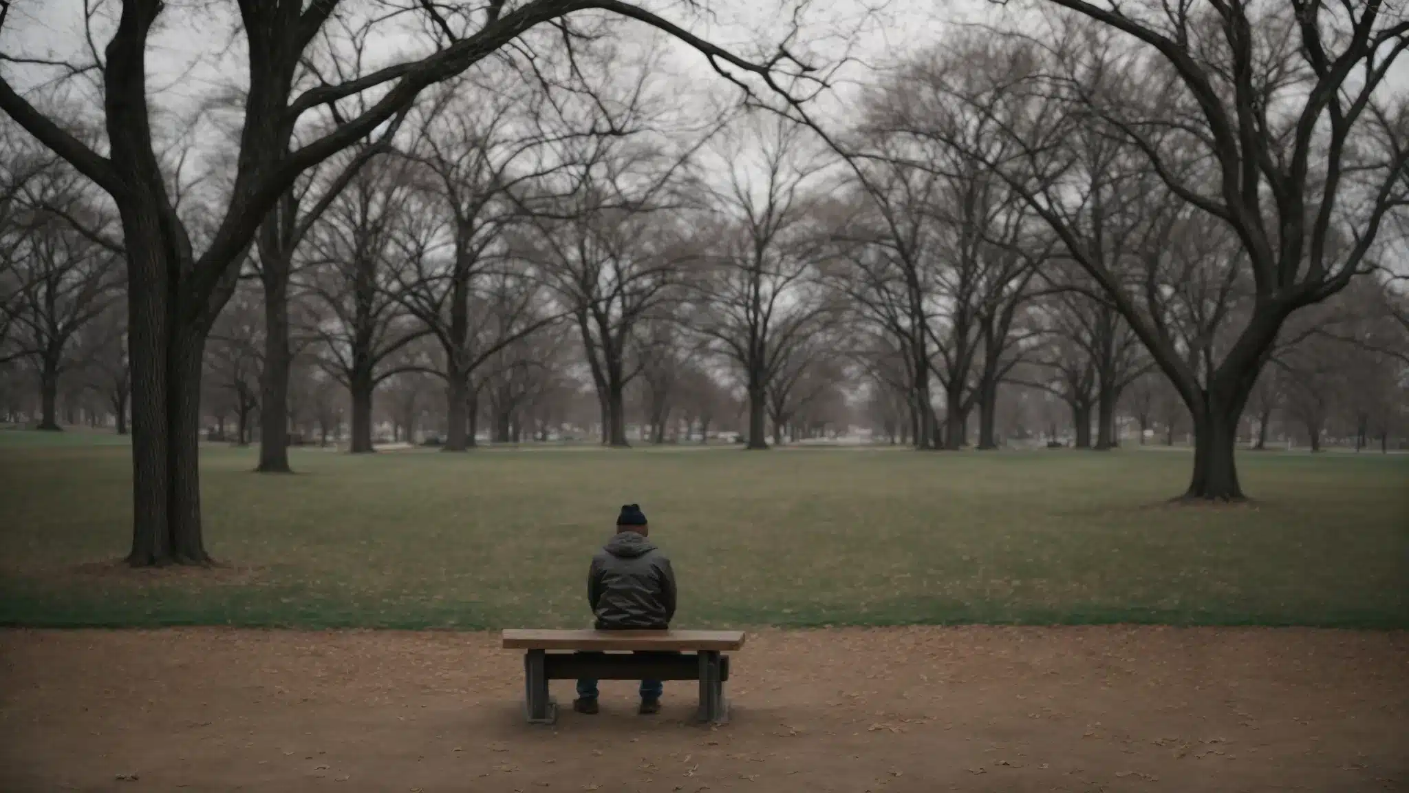 a person sitting alone on a bench in a bare, leafless park in washington d.c. during a gray, overcast winter day.